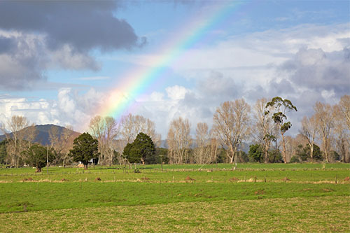 New Zealand best health